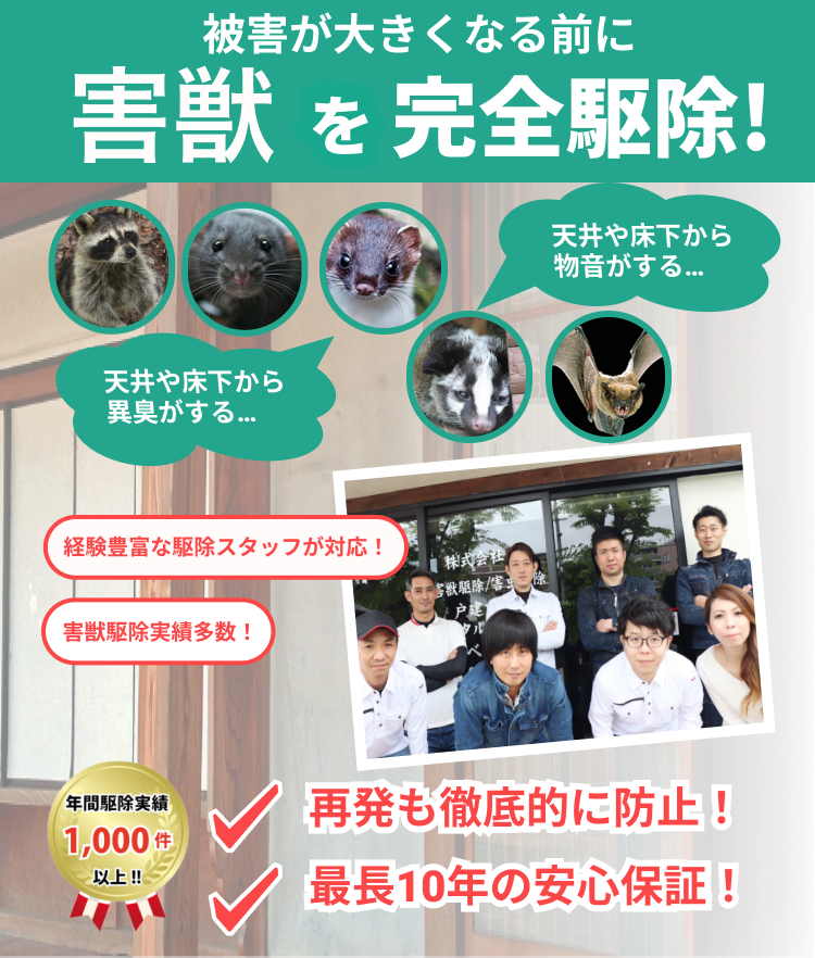 長野県須坂市でのネズミ、イタチなどの害獣被害は害獣駆除ヒーローズにお任せください！すぐに電話でご連絡ください！